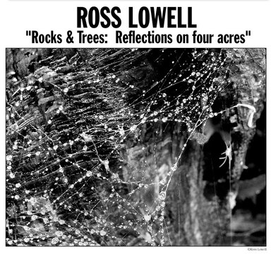 Ross Lowell